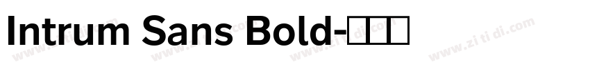 Intrum Sans Bold字体转换